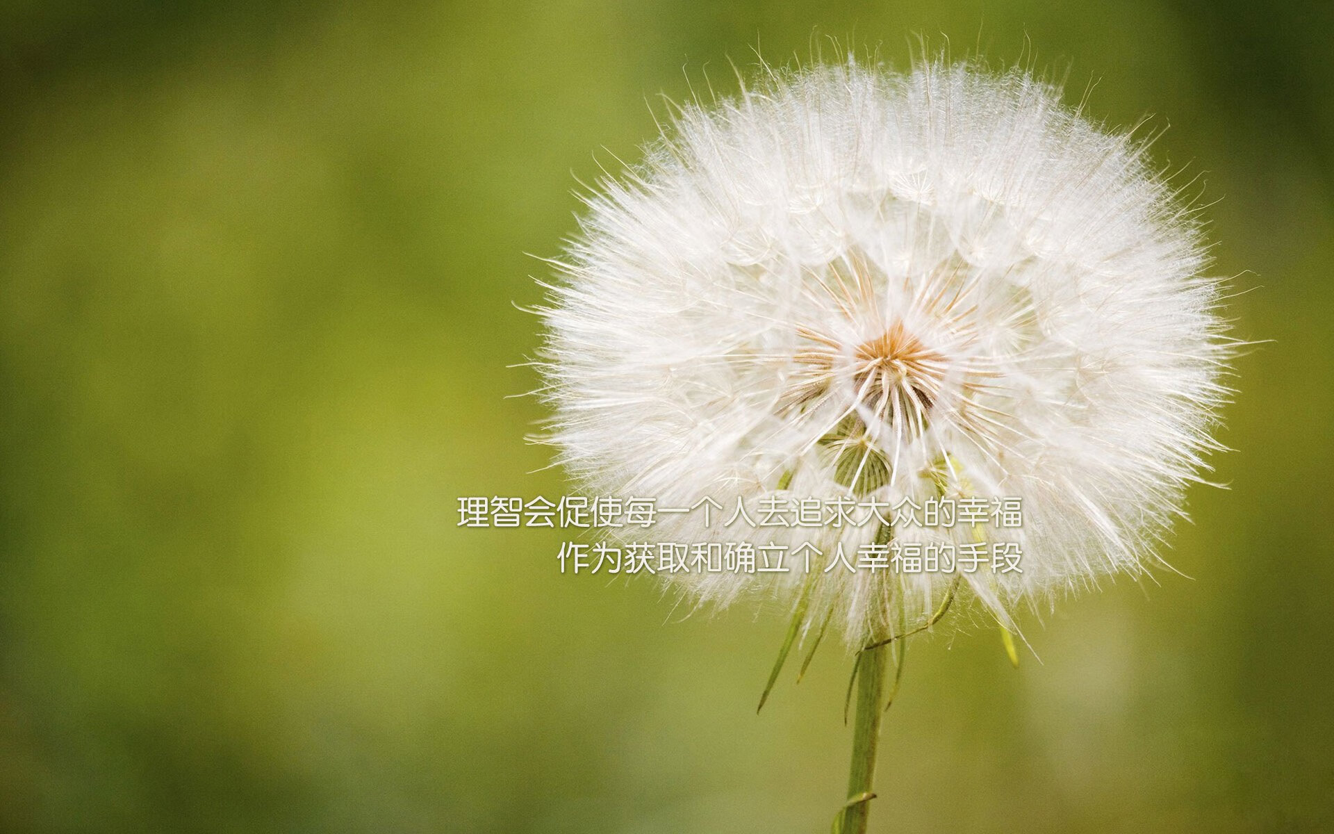体育赛事品牌推广新模式，体育赛事品牌打造