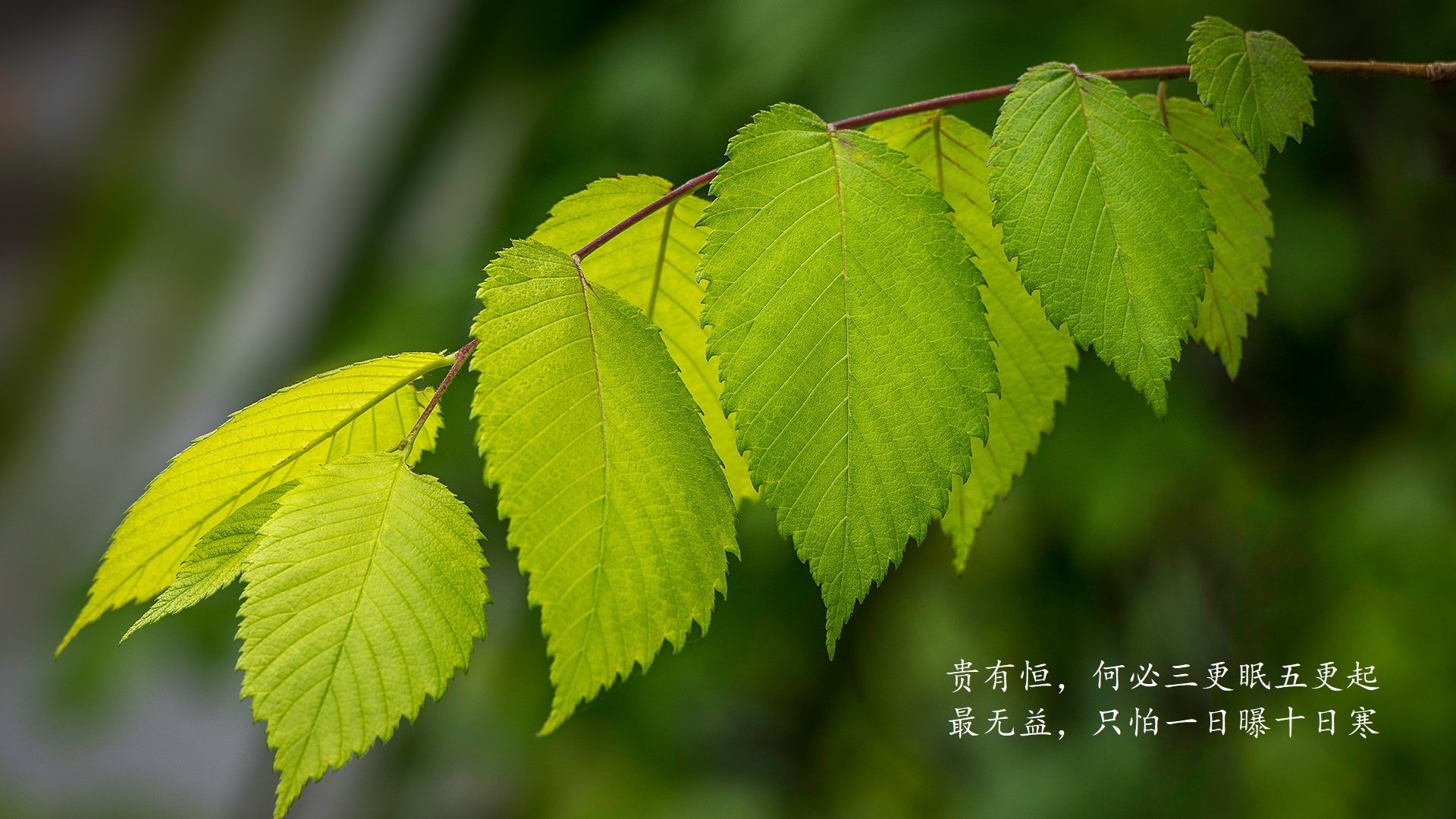 乐鱼体育官网投注-国足比赛节奏切换时间分布，足球比赛国足