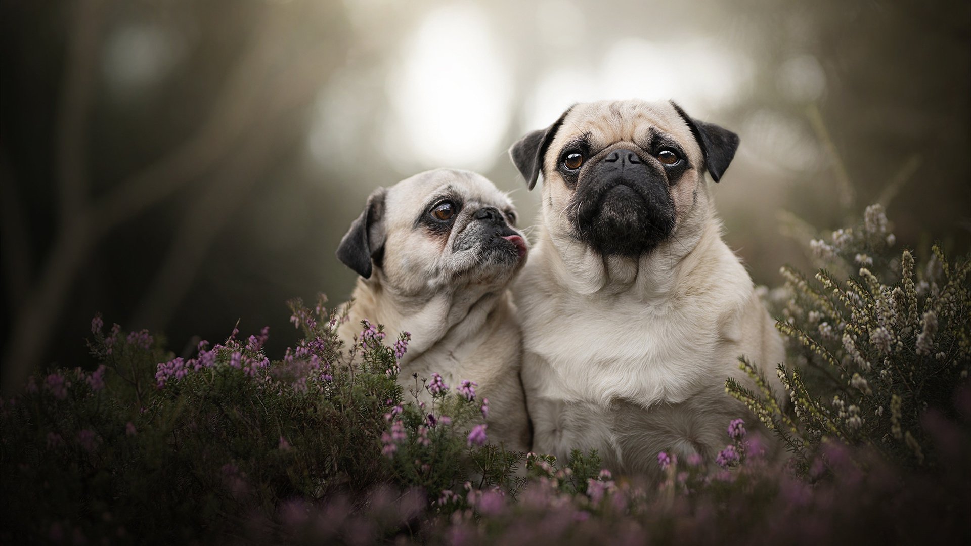 3×3 球队年轻阵容展现高竞争潜力，2020足球年轻球员最佳阵容