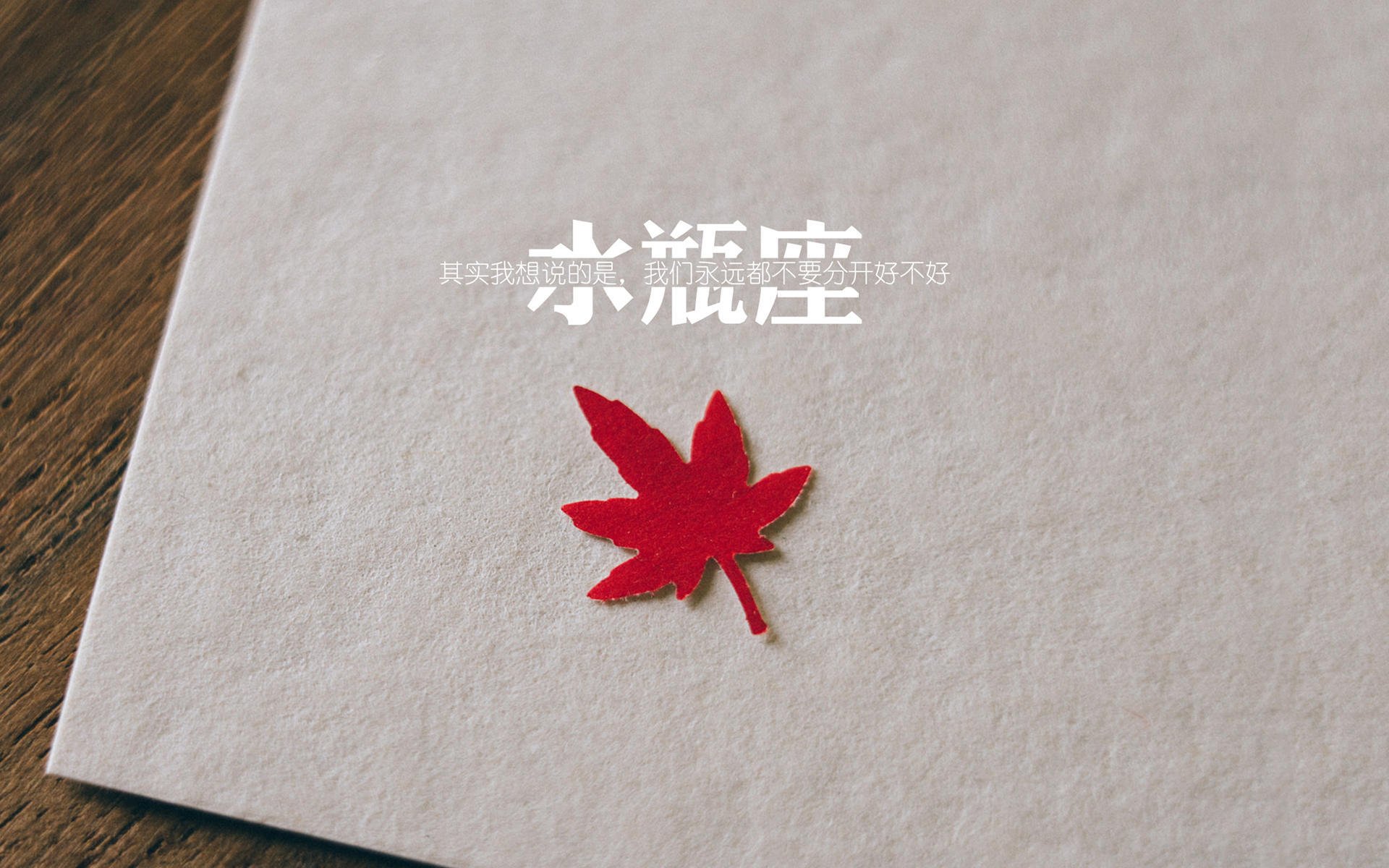 美国队战术成熟 配合堪称模板，美国队怎么样