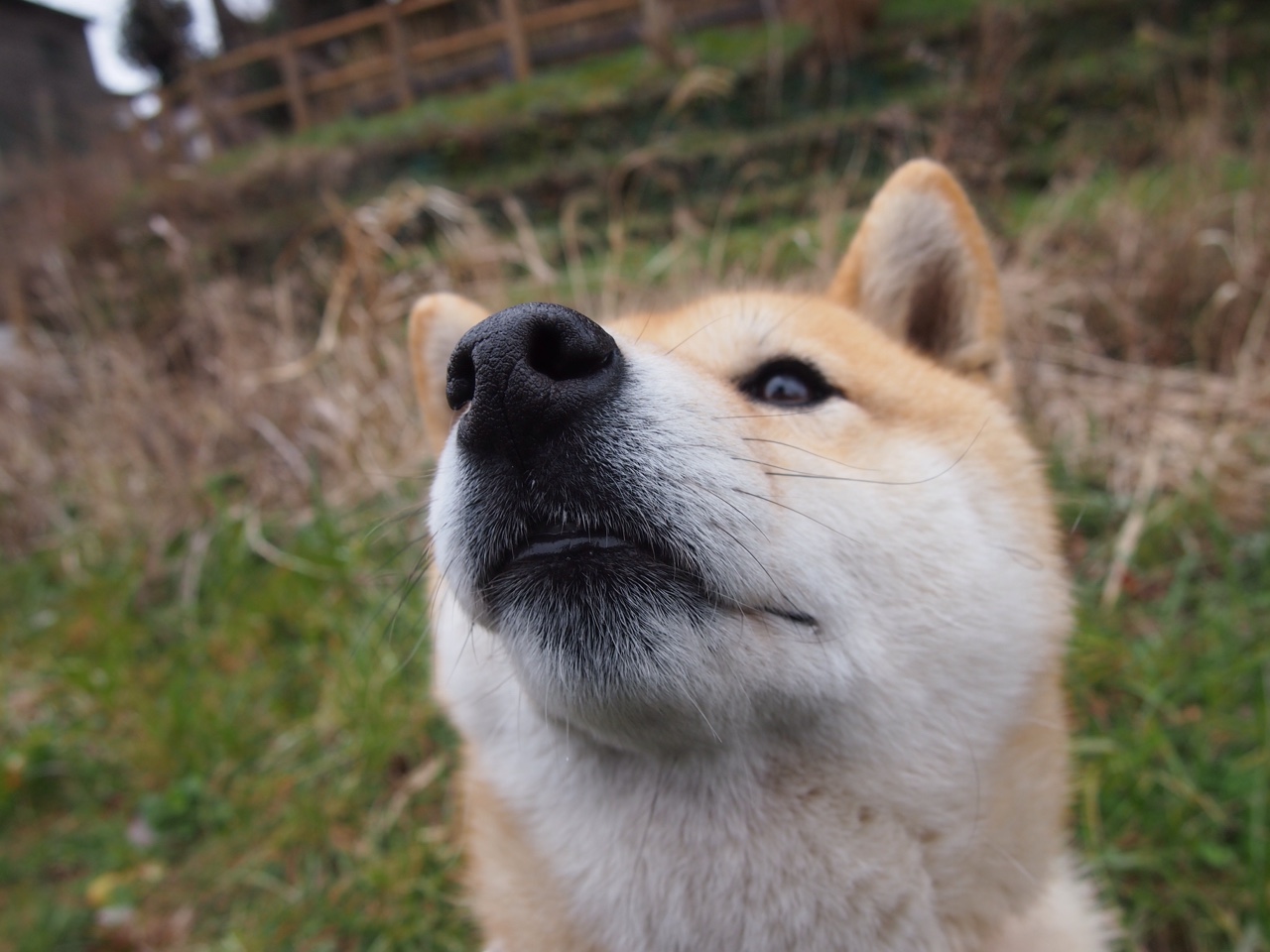 中国足球联赛裁判执法标准持续提升，足球裁判执法规则