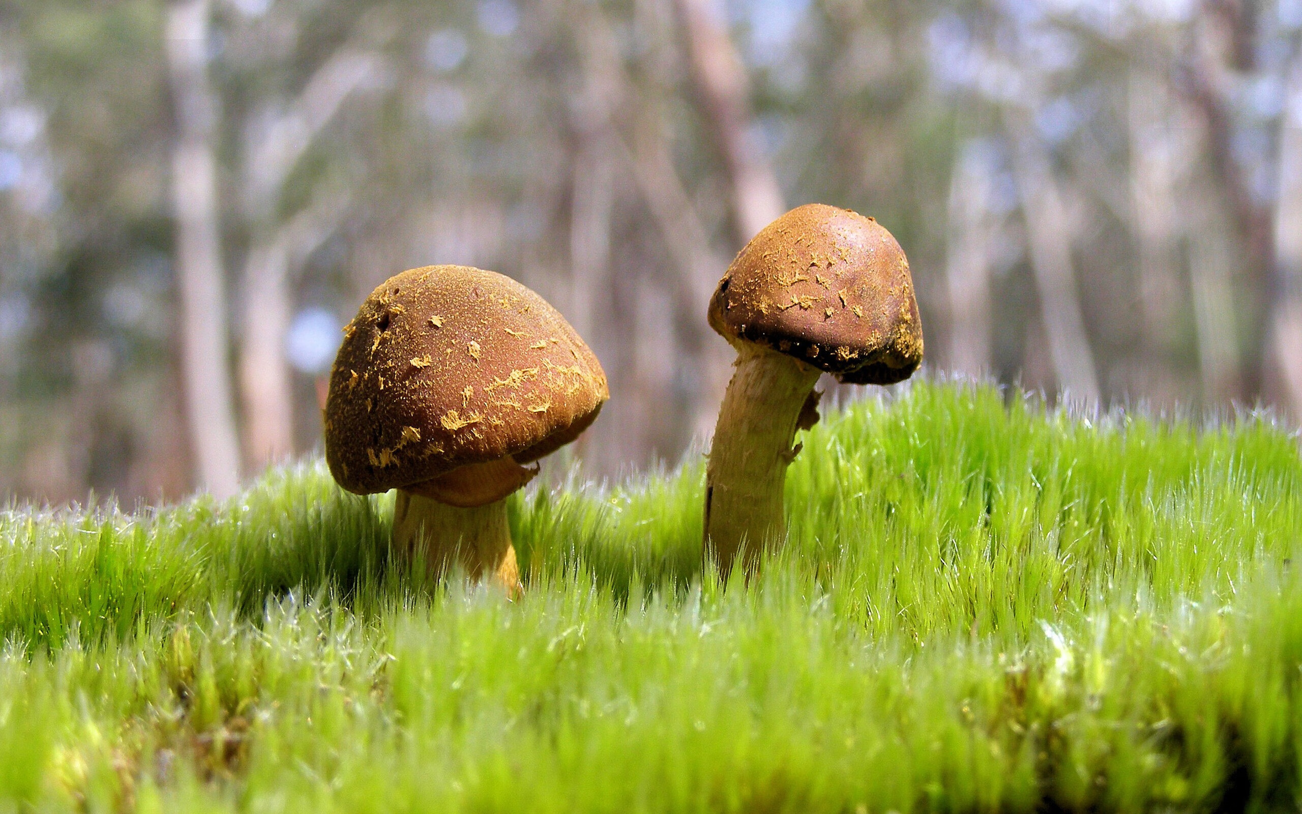 中国足球联赛裁判执法标准持续提升，足球裁判执法规则