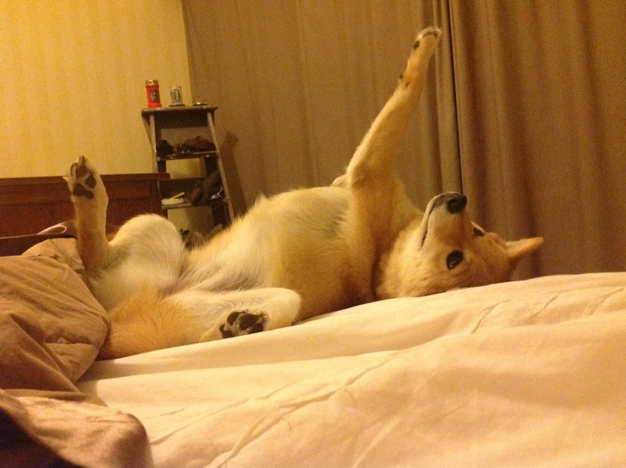 乔治反跑接球空切完成暴扣，乔治扣篮