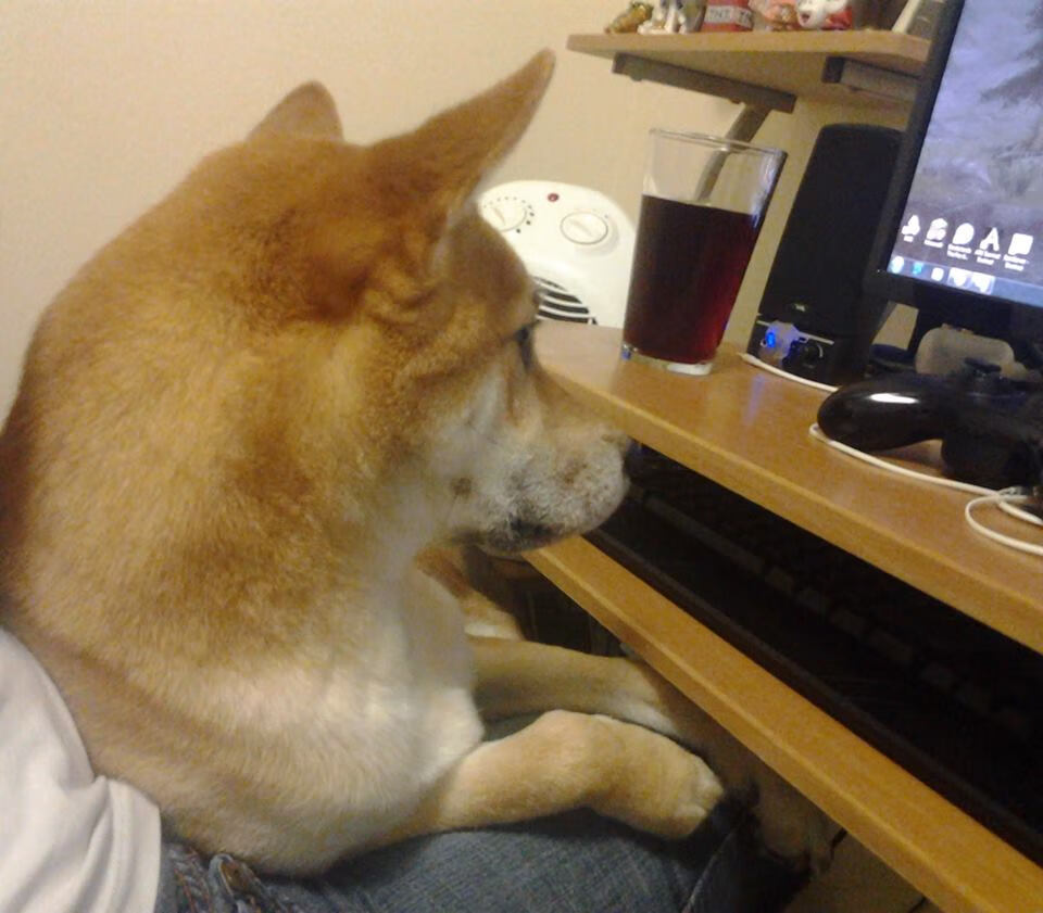 乐鱼体育在线网站-杰克·阿莱克西100米自由泳技术动作解析，埃里克自由泳100米