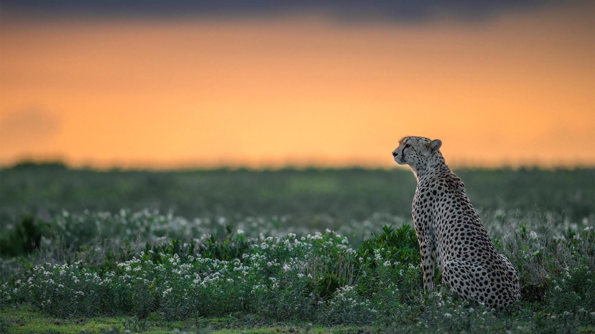 乐鱼体育平台-激烈角逐激发全民热情，激烈角逐的句子